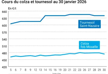 Graphique prix colza tournesol France au 30 janvier 2026  