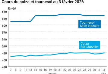 Graphique prix colza tournesol France au 3 février 2026  