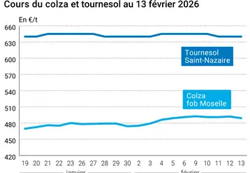 Graphique prix colza tournesol France au 13 février 2026  
