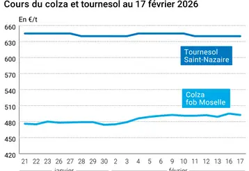 Graphique prix colza tournesol France au 17 février 2026  