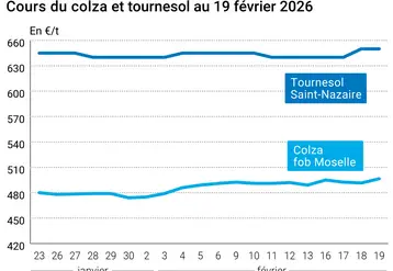 Graphique prix colza tournesol France au 19 février 2026 