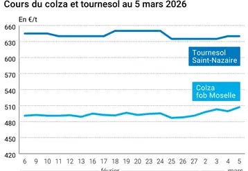 Graphique prix colza tournesol France au 5 mars 2026  