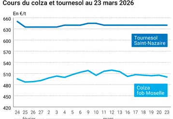 Graphique prix colza tournesol France au 23 mars 2026