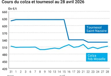 Prix colza tournesol France au 28 avril 2026