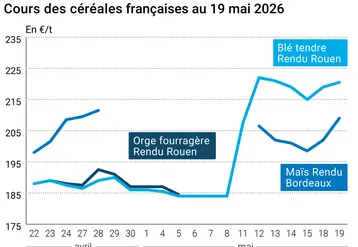 Graphique prix blé maïs orge France au 19 mai 2026 