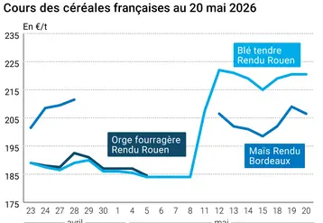 Graphique prix blé orge maïs France au 20 mai 2026 