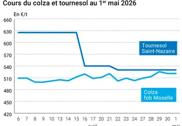 Graphique prix colza tournesol France au 1er Mai 2026 