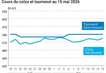 Graphique prix colza tournesol France au 15 mai 2026 