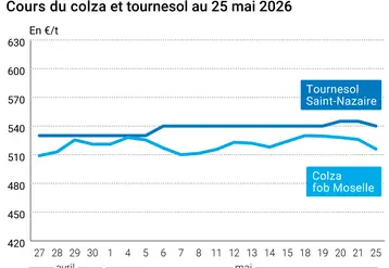 Graphique prix colza tournesol France au 25 mai 2026 