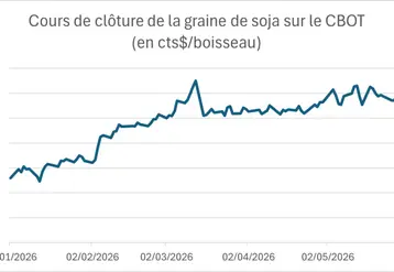 <em class="placeholder">Courbe des cours de la graine de soja coté sur le CBOT</em>