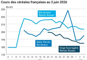 Graphique prix blé maïs orge France au 3 juin 2026