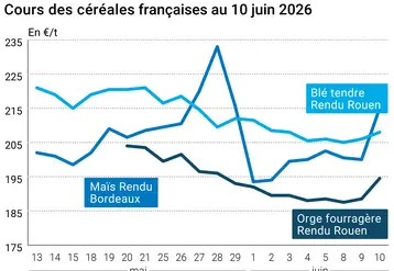    Graphique prix blé maïs orge France au 10 juin 2026 