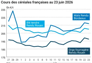 Graphique prix blé maïs orge France au 23 juin 2026 