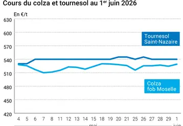 Graphique prix colza tournesol France au 1er juin 2026 