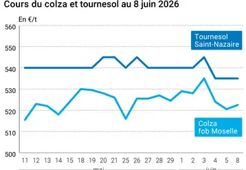 Graphique prix colza tournesol France au 8 juin 2026 