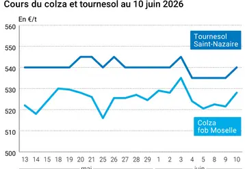 Graphique prix colza tournesol France au 10 juin 2026 
