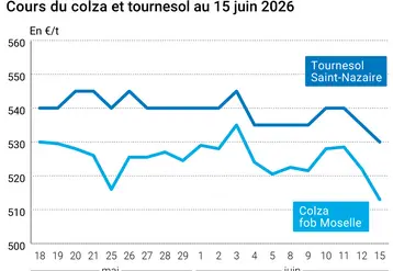 Graphique prix colza tournesol France au 15 juin 2026 
