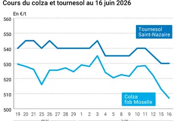 Graphique prix colza tournesol France au 16 juin 2026 