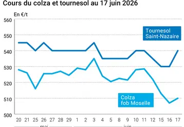 Graphique prix colza tournesol France au 17 juin 2026 