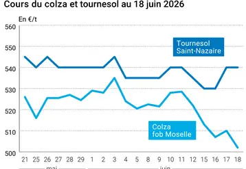 Graphique prix colza tournesol France au 18 juin 2026 