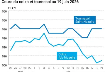 Graphique prix colza tournesol France au 19 juin 2026 