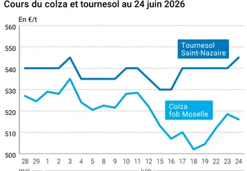 Graphique prix colza tournesol France au 24 juin 2026 