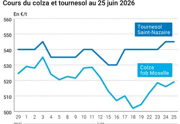 Graphique prix colza tournesol France au 25 juin 2026 