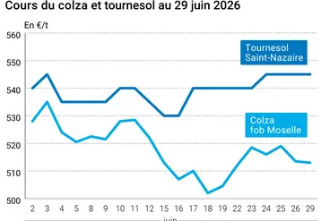 Graphique prix colza tournesol France au 29 juin 2026 
