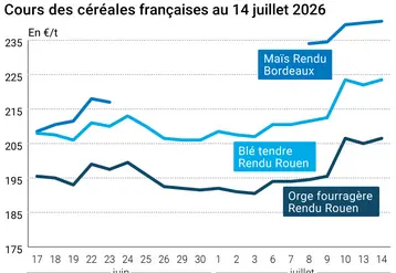 Graphique prix colza tournesol France au 8 mai 2026