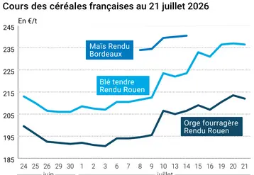 Graphique prix blé maïs France au 21 juillet 2026