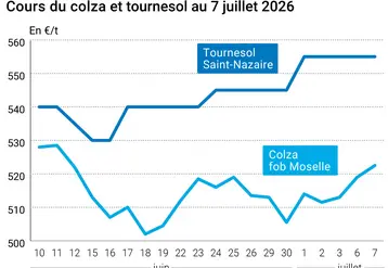 Graphique prix colza tournesol France au 7 juillet 2026 