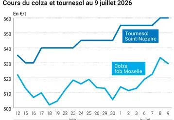 Graphique prix colza tournesol France au 9 juillet 2026 