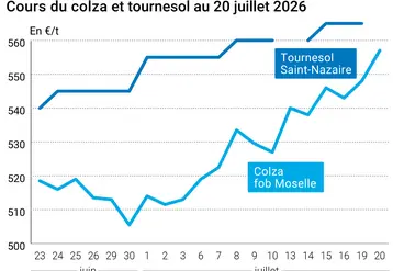 Graphique prix colza tournesol France au 20 juillet 2026