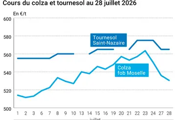 Graphique prix colza tournesol France au 28 juillet 2026