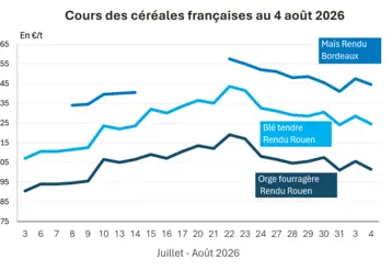 Graphique prix colza tournesol France au 4  août 2026 