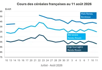 Graphique prix blé orge maïs France au 11 août 2026