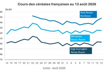 Graphique prix blé, orge et maïs France au 13 août 2026