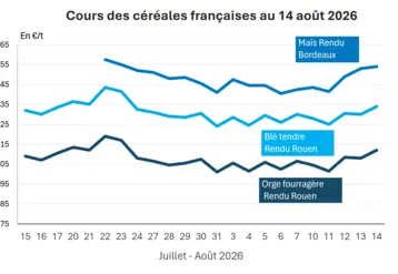 Graphique prix blé, orge et maïs France au 14 août 2026