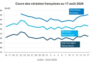 Graphique prix blé orge maïs France au 17 août 2026 