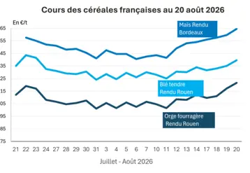 Graphique prix blé orge et maïs France au 20 août 2026 