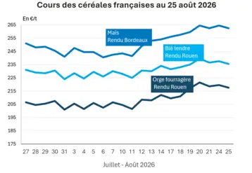 Graphique prix blé maïs orge France au 25 août 2026 