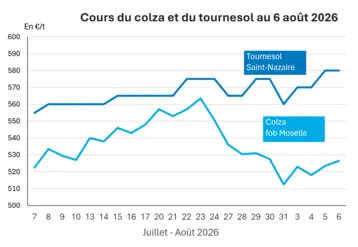 Graphique prix colza tournesol France au 6 août 2026 