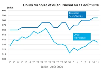 Graphique prix colza tournesol France au 11 août 2026