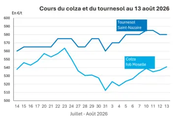 Graphique prix colza tournesol France au 13 août 2026