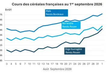 Graphique prix blé orge mais France au 1er septembre 2026 