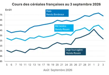 Graphique prix blé orge mais France au 3 septembre 2026 