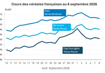 Graphique prix blé maïs orge France au 8 septembre 2026