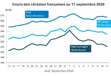 Graphique prix blé maïs orge France au 11 septembre 2026 