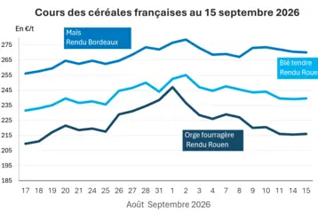 Graphique prix blé orge maïs France au 15 septembre 2026