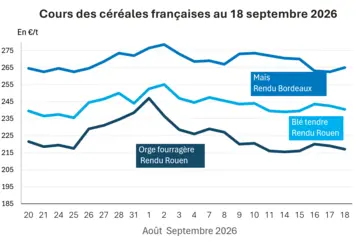 Graphique prix blé, orge et maïs France au 18 septembre 2026